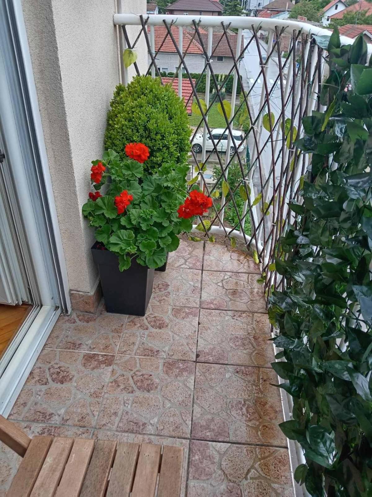 Apartman Centar Požarevac Zewnętrze zdjęcie