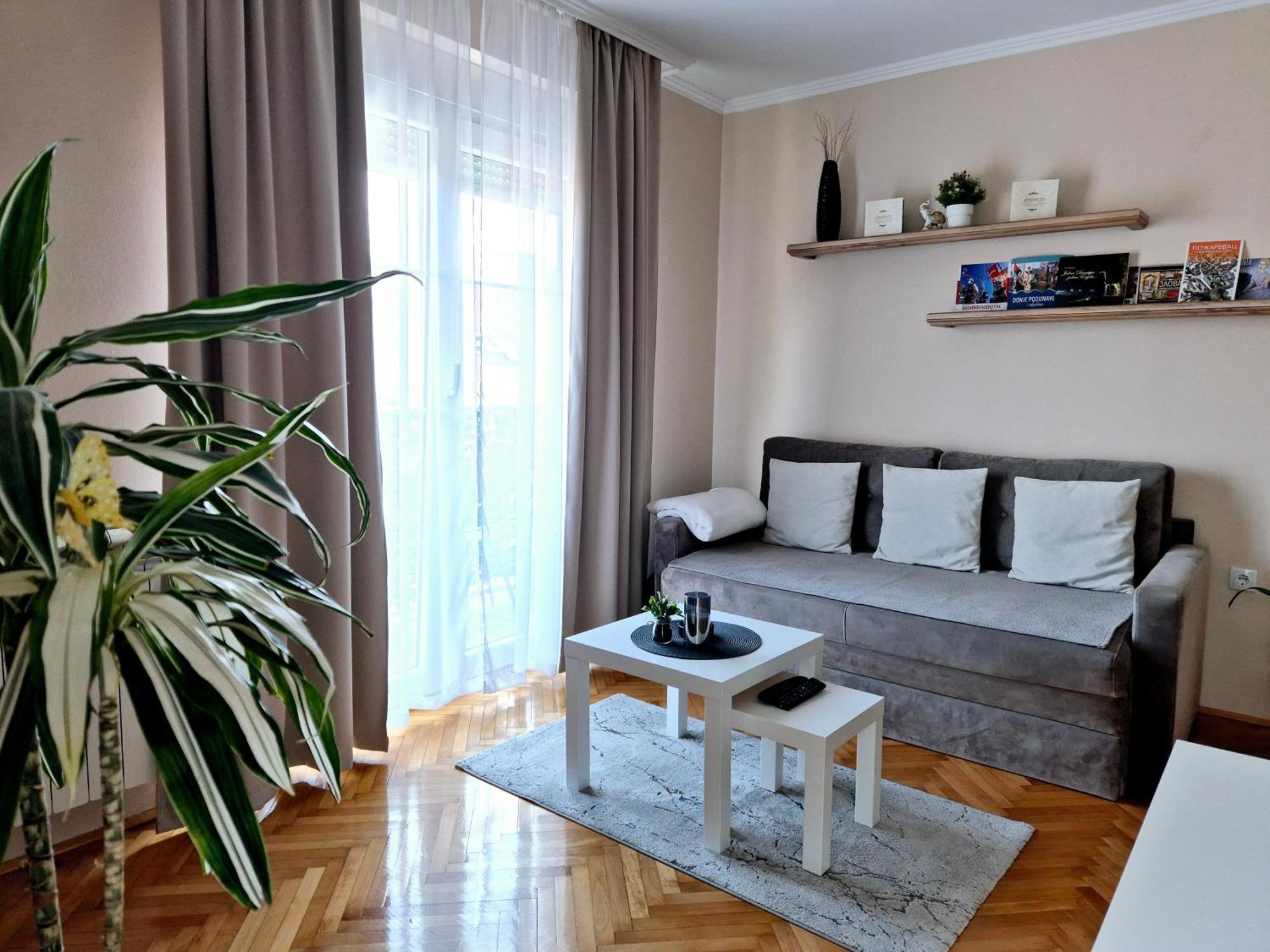 Apartman Centar Požarevac Zewnętrze zdjęcie